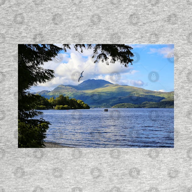 Ben Lomond from Luss by Jane Braat